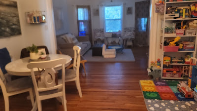 living-room-cleaning-canton-babos
